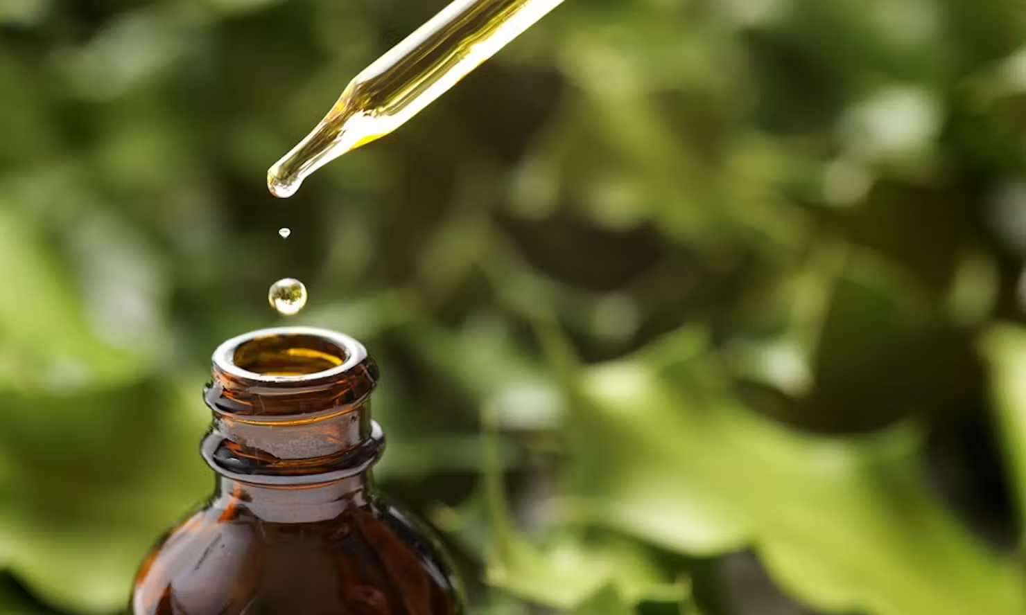 Pine Oil-7